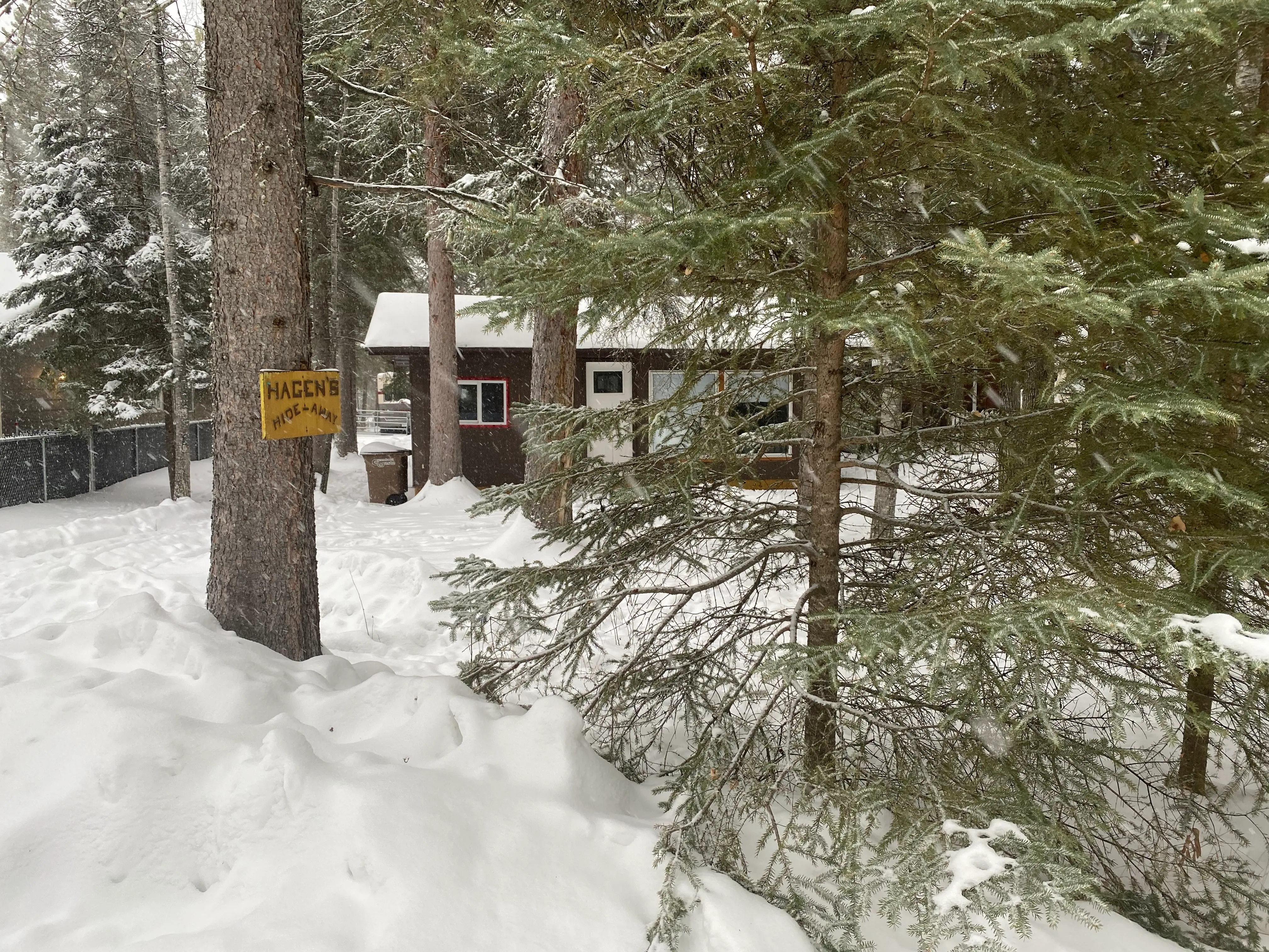 A scenic overview of Emma Lake with insights into the 2024 real estate market trends and sales performance.